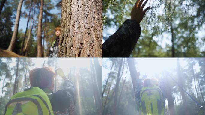 穿越丛林徒步旅行森林冒险亲近自然登山爬山