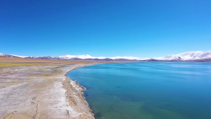 羌塘无人区 改则县 阿里地区 阿里湖水