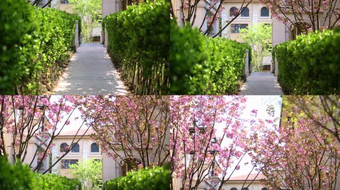 春天鸟语花香景观设计花园设计别墅设计
