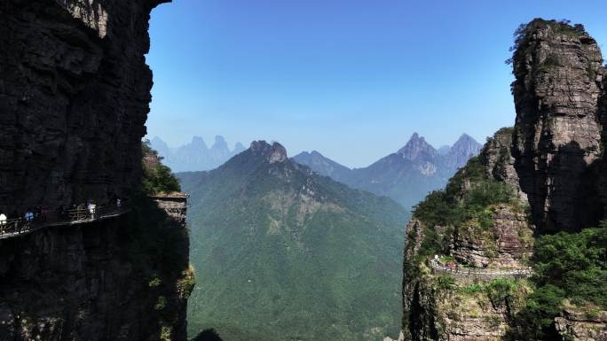 广西大瑶山国家级自然保护区内的北帝山