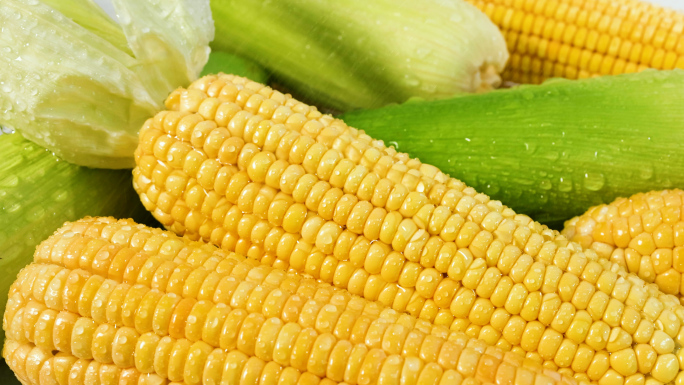 鲜食玉米美拍