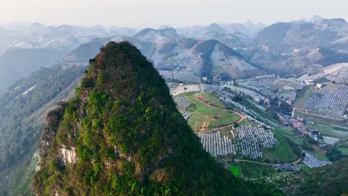 航拍广西山地柑橘，金钱橘，沙田柚种植产业