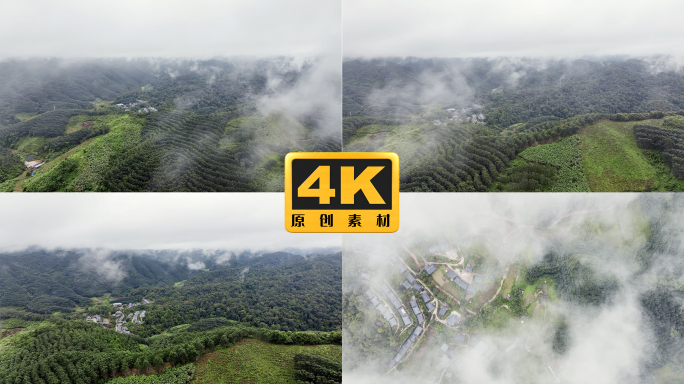 4K-俯瞰云南最美瑶寨河边寨雨林里的村寨