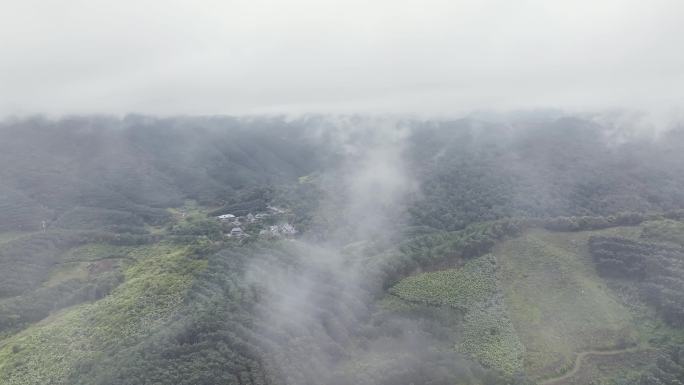 4K-俯瞰云南最美瑶寨河边寨雨林里的村寨