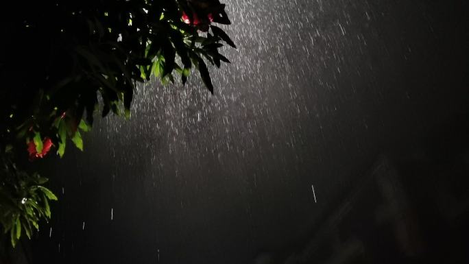 雨丝雨景夜晚伤感下雨视频素材点雨季写意