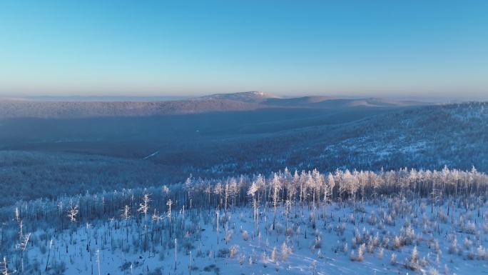 航拍大兴安岭黎明林海雪原