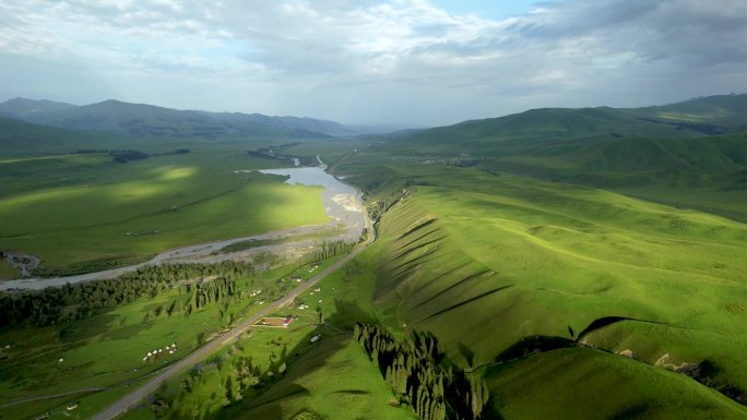 新疆伊犁唐布拉草原夏季自然风光航拍