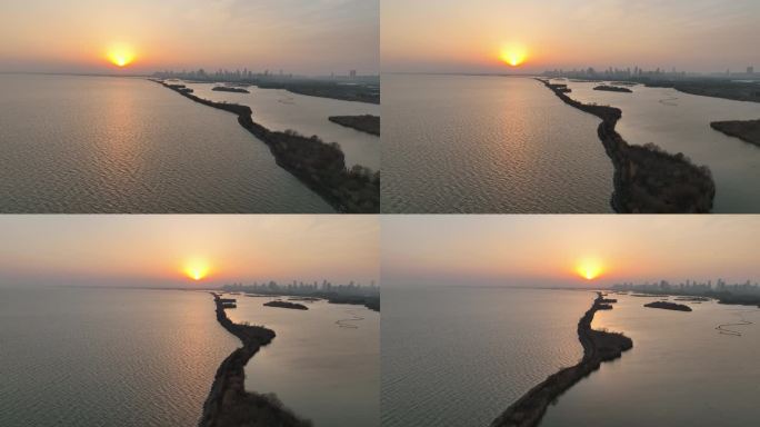 夕阳无限好