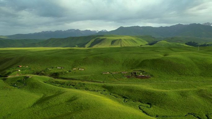 新疆伊犁唐布拉草原夏季自然风光航拍