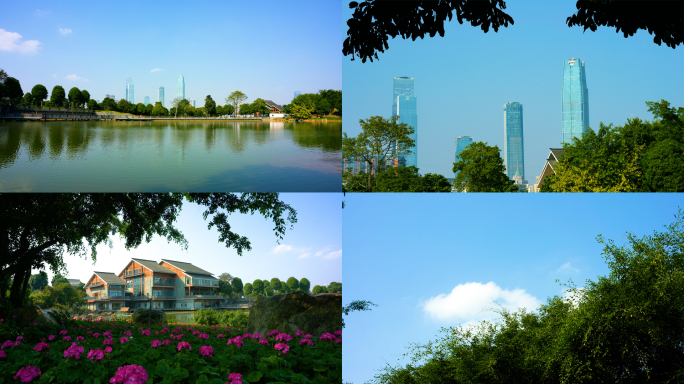 蓝天白云花朵树枝湖水建筑唯美4K