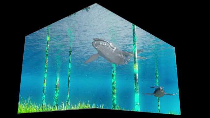 原创裸眼3D大屏网红视频鲸鱼亚特兰蒂斯