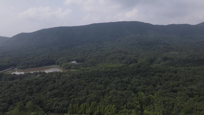 4K 南京紫金山 航拍钟山高尔夫