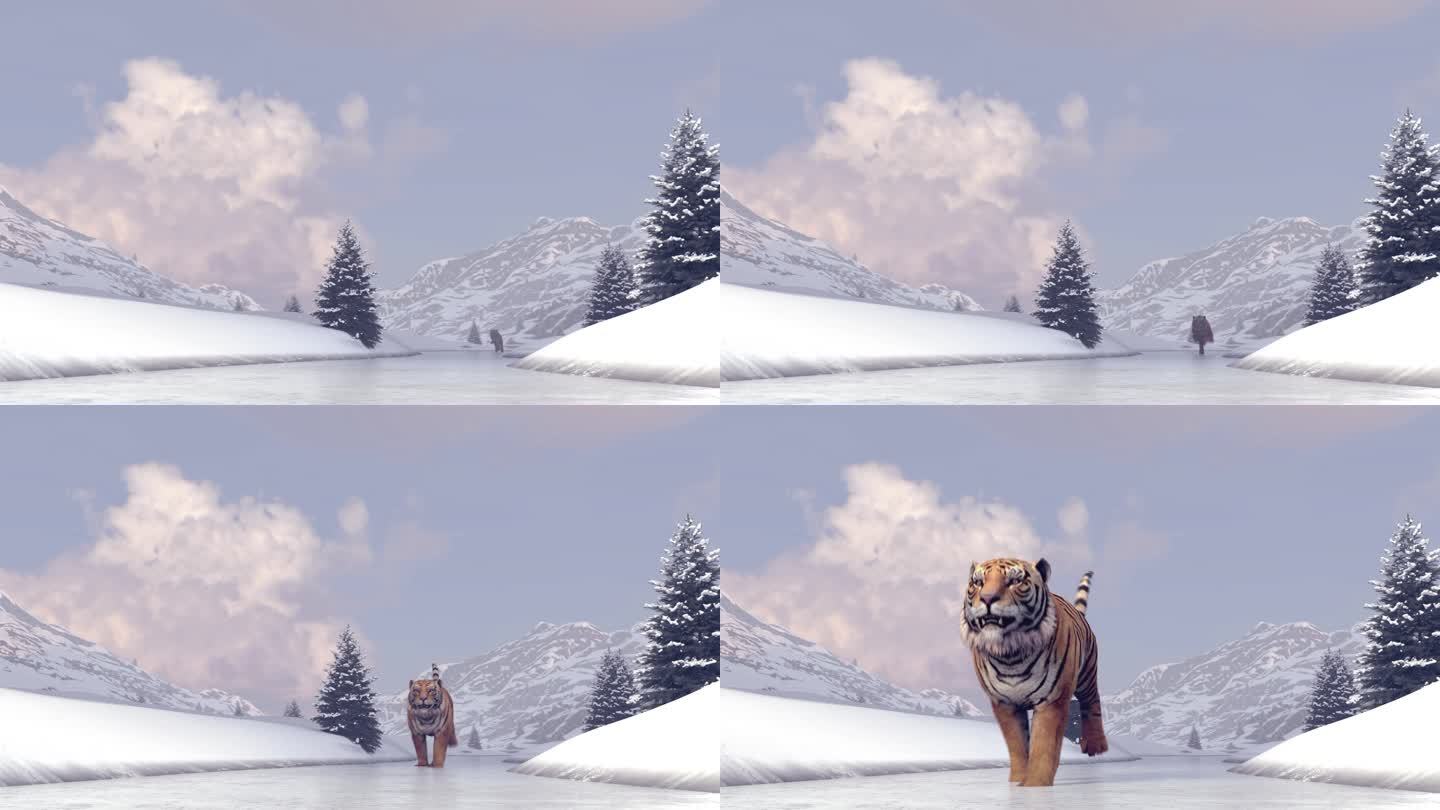 雪地老虎跑过来视频动画素材