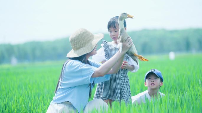 4K田园户外踏青童年放生