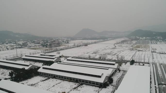 安吉田园雪景