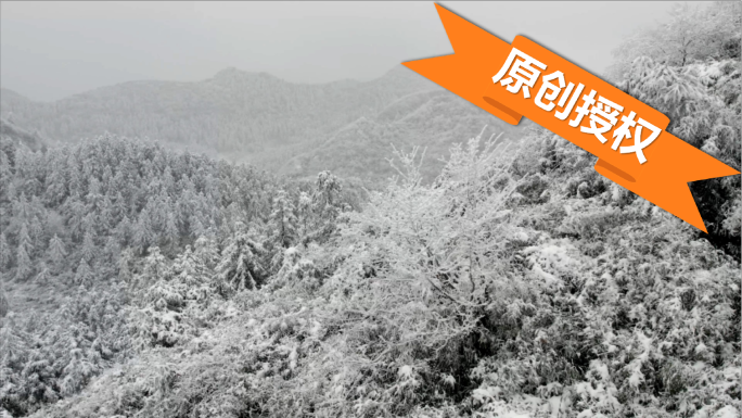 T0103仙女山雪景