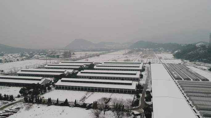 安吉田园雪景