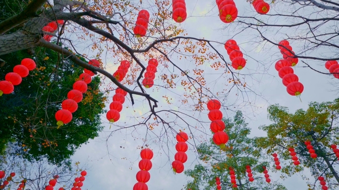 节日红灯，喜庆红灯笼，节假日过节红灯笼