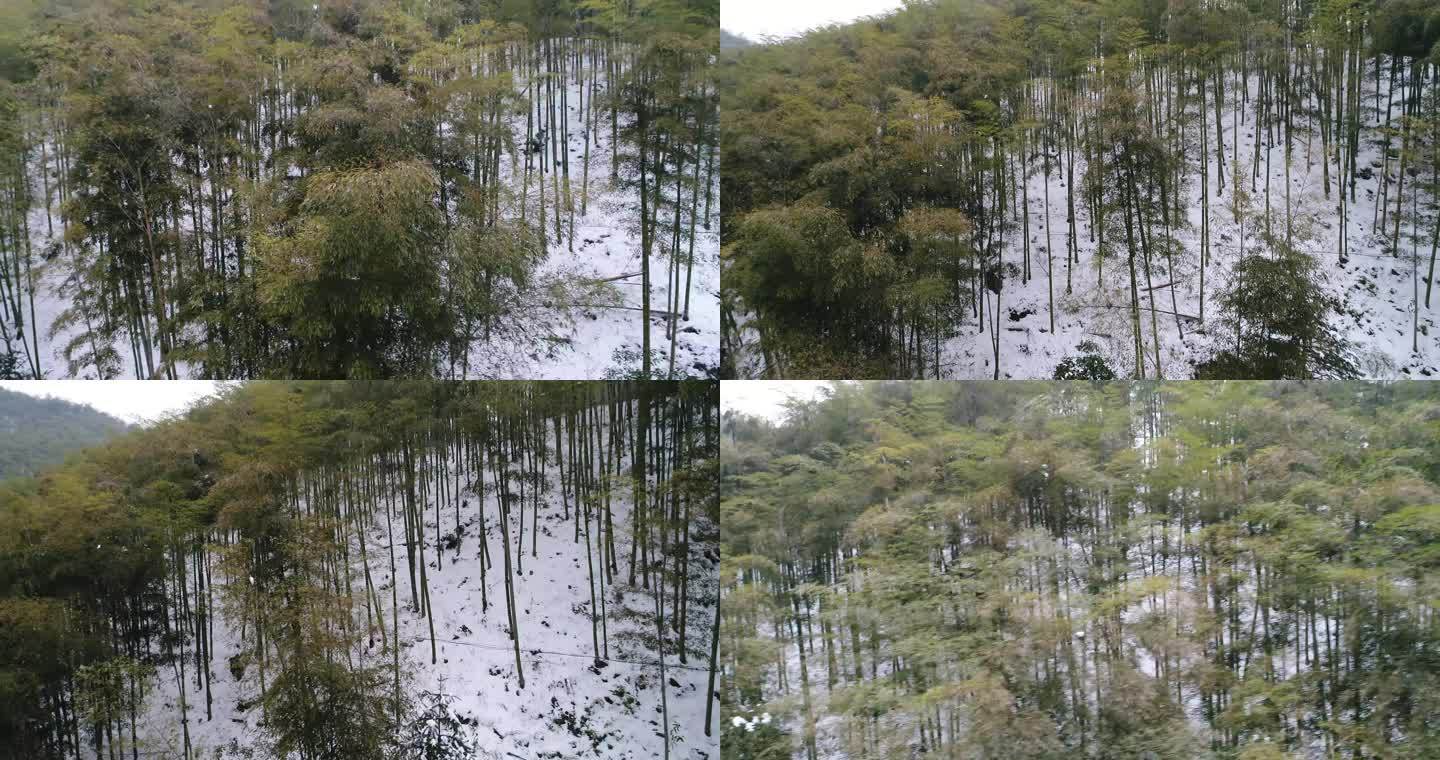 安吉大竹海竹林雪景