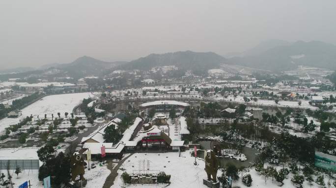 田园熊出没雪景