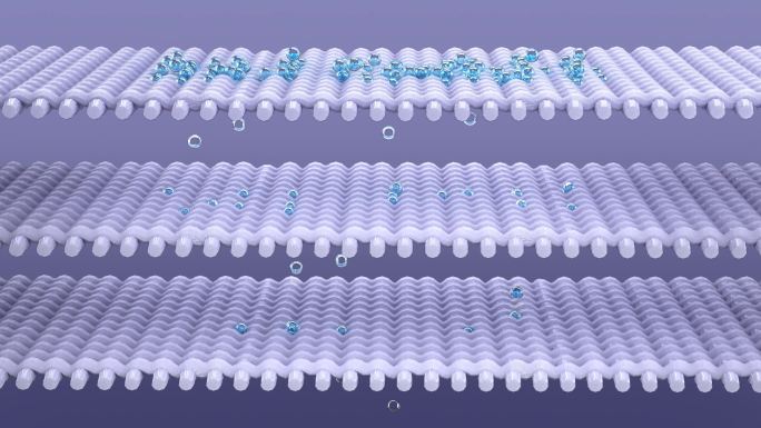 过滤分子细胞皮肤3D渲染