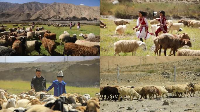 新疆牧民孩子草场牧羊玩耍4