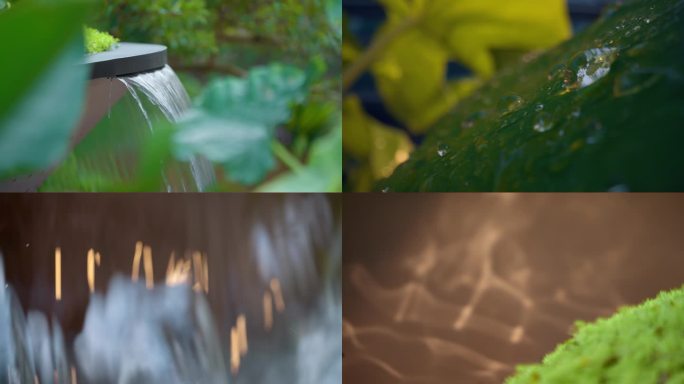 实拍 空镜 质感 自然 园林 水景 植物