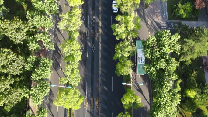 航拍 城市 城市道路 公交跟拍