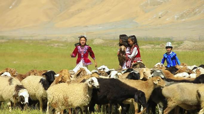 新疆牧民孩子草场牧羊玩耍2