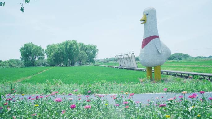 4K户外田园露营踏青旅游