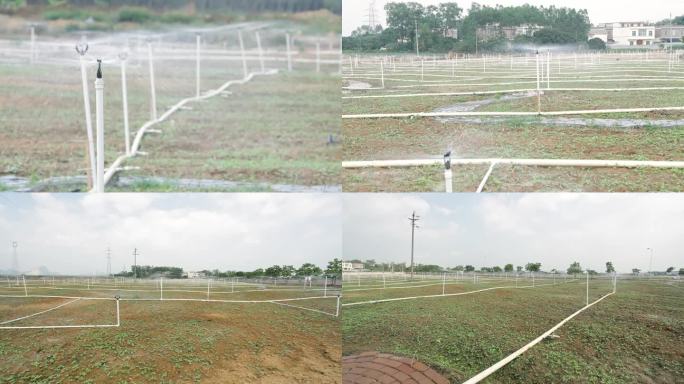 农业 灌溉 自动喷淋