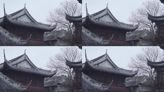 古建筑枯树漫天飞雪慢动作1