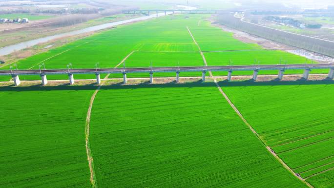 航拍农场绿色麦田，平原麦田，美丽乡村建设