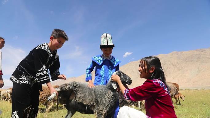 新疆牧民孩子草场牧羊玩耍6