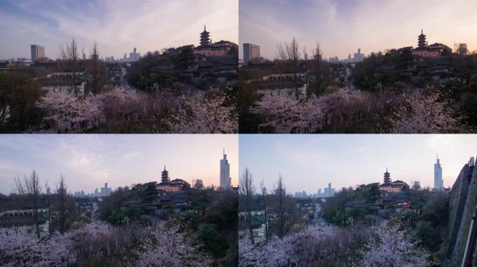 南京鸡鸣寺与盛开的樱花