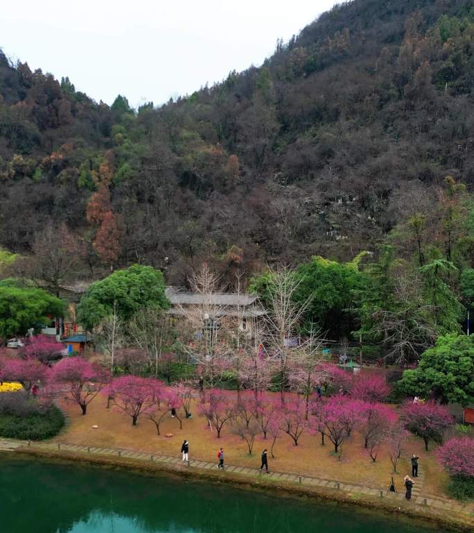 竖屏航拍桂林穿山公园市民赏花