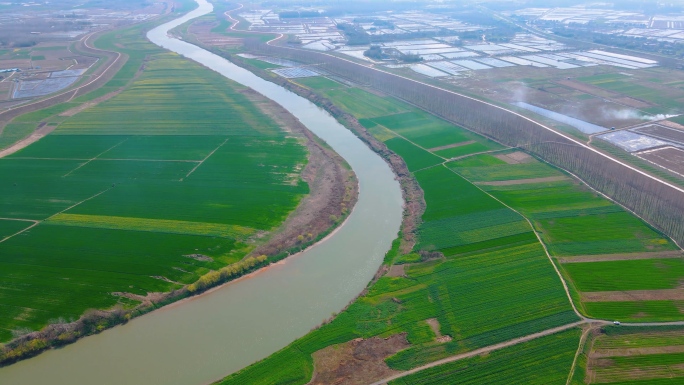 航拍美丽乡村，江汉平原农田风光小麦地农村