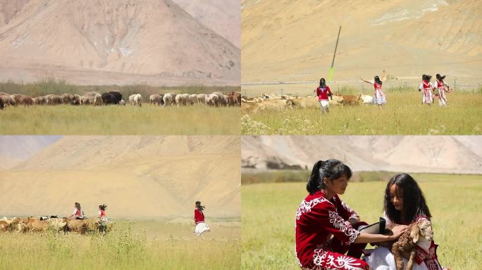 新疆牧民孩子草场牧羊玩耍3