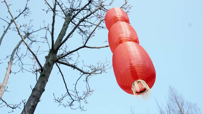【4K】中国风灯笼树上灯笼飘荡