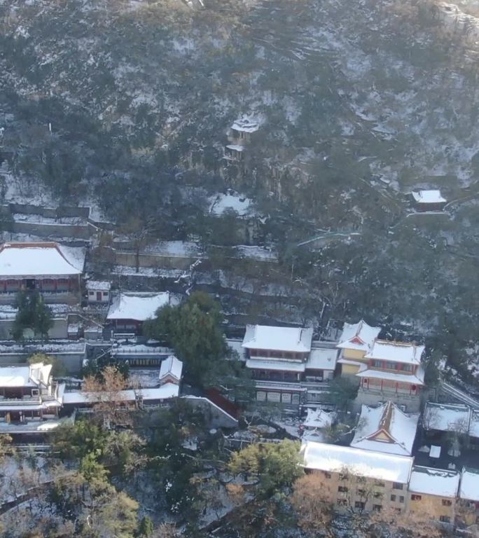 冬天雪景竖屏航拍