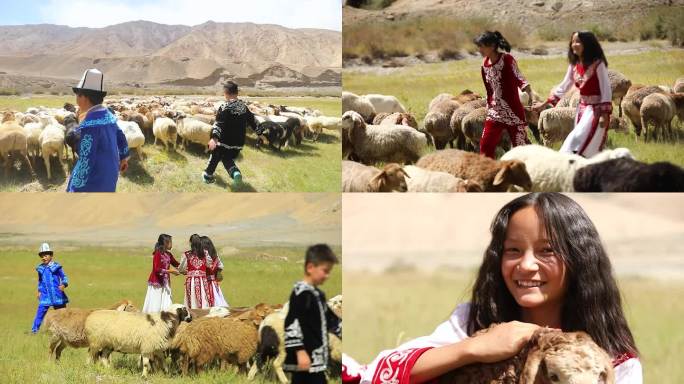 新疆牧民孩子草场牧羊玩耍合集