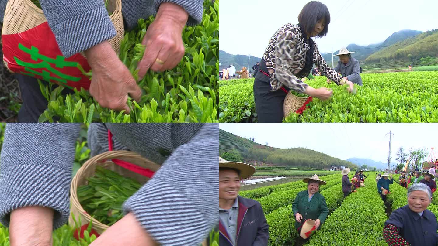 采茶 茶农 茶叶 笑脸