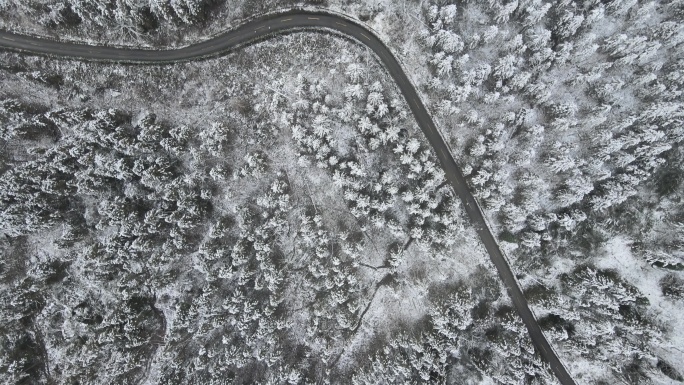 森林雪景航拍视频素材3