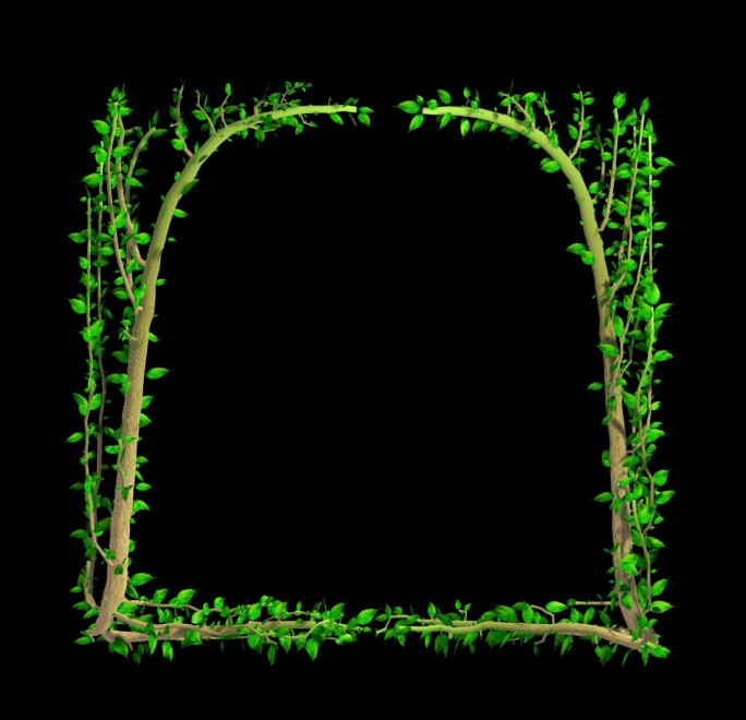 藤蔓植物生长相框