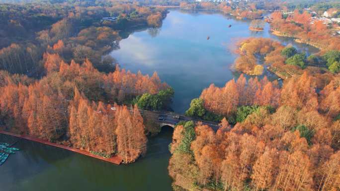 杭州西湖美景 杨公堤