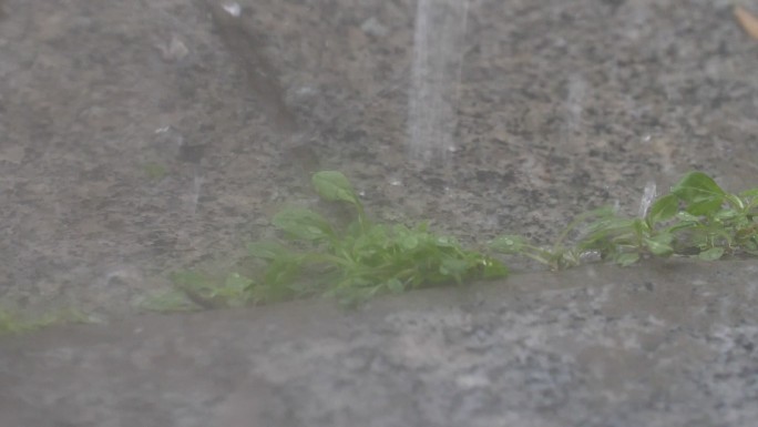 下雨雨天雨水 升格