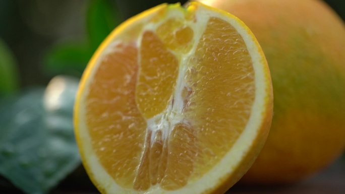 新鲜橙子切开果肉特写素材
