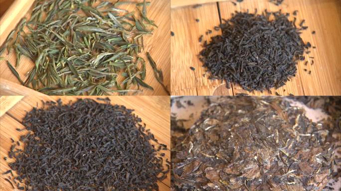 茶叶 不同品种