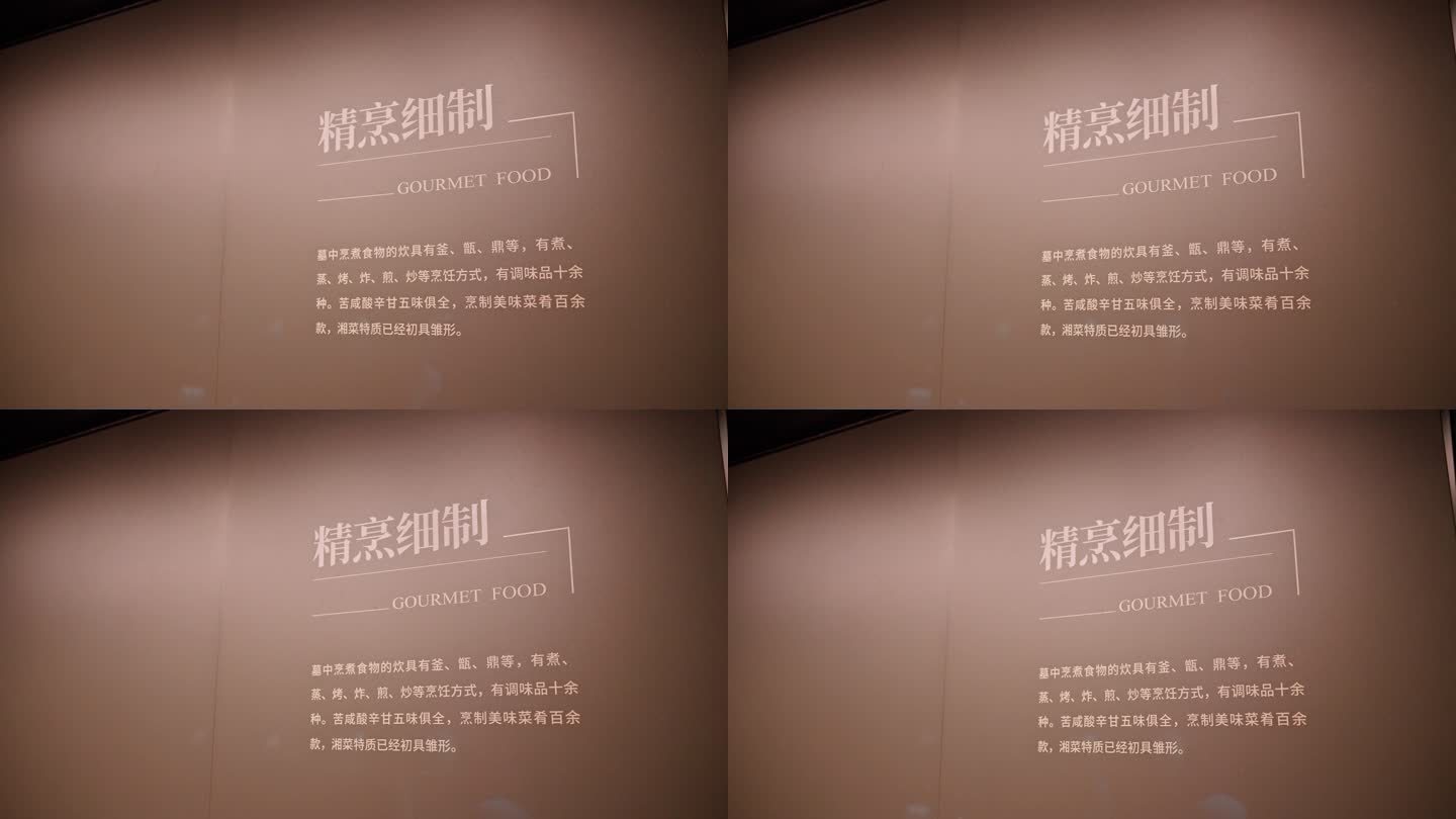 4K正版-湖南省博物馆标志牌 精烹细制