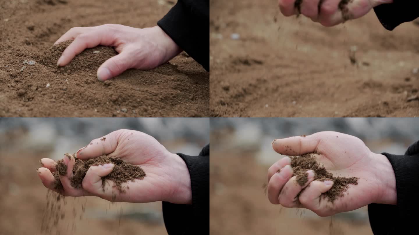 土壤干旱手抓泥土黑土地土壤检测生命的力量